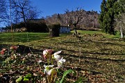 12 Baita con vista in Corno Zuccone
